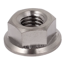 Stainless Steel Flange Nut Bolt Silver